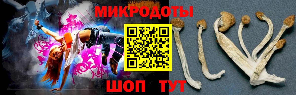 Галлюциногенные грибы MAGIC MUSHROOMS  Вход с VPN  Дедовск 